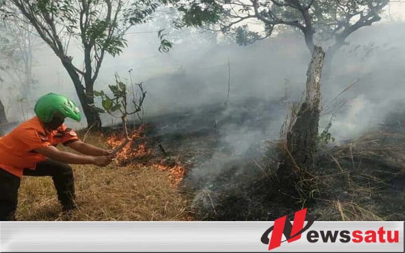 Kebakaran Hutan Di Probolinggo