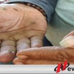 Manusia Tawon Di Kota Probolinggo