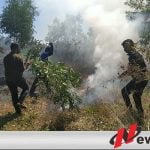 Sehari Kebakaran 2 lahan Terjadi di Lokasi Berbeda Di Pamekasan