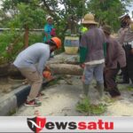 Angin Kencang, Warga Pamekasan Diminta Waspadai Pohon Tumbang