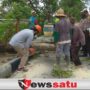 Angin Kencang, Warga Pamekasan Diminta Waspadai Pohon Tumbang