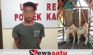 Curi 3 Ekor Kambing, Warga Kalianget Harus Mendekam Dibalik Jeruji Besi