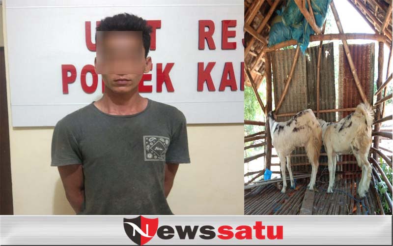 Curi 3 Ekor Kambing, Warga Kalianget Harus Mendekam Dibalik Jeruji Besi