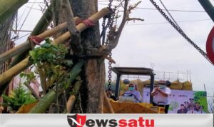 Gunakan Alat Berat, Walikota Batu Tanam Satu Nama Satu Pohon