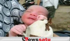Heboh, Hendak Ke Sawah Warga Sumberasih Probolinggo Temukan Bayi