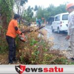 Hujan dan Angin Kencang Sebabkan 4 Titik Pohon Tumbang dan Listrik Terganggu