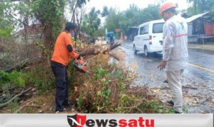 Hujan dan Angin Kencang Sebabkan 4 Titik Pohon Tumbang dan Listrik Terganggu