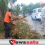Hujan dan Angin Kencang Sebabkan 4 Titik Pohon Tumbang dan Listrik Terganggu