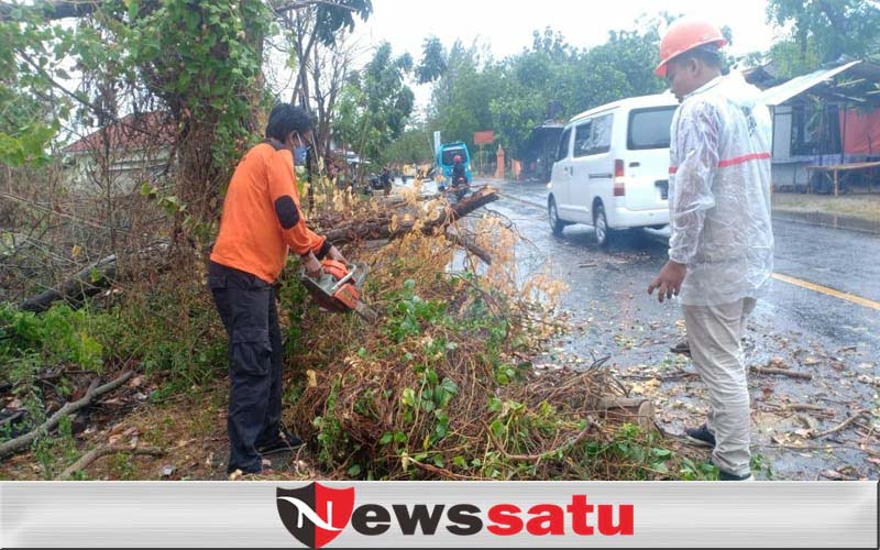 Hujan dan Angin Kencang Sebabkan 4 Titik Pohon Tumbang dan Listrik Terganggu