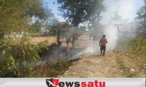 Jalan Akses Sempit,  Karhutla Di Pamekasan Butuh Damkar Mini