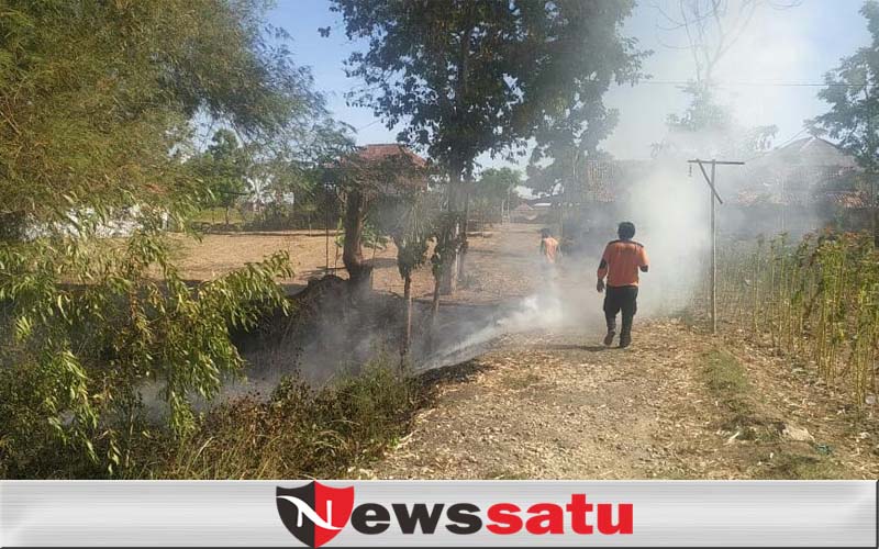 Jalan Akses Sempit,  Karhutla Di Pamekasan Butuh Damkar Mini
