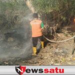 Pancaroba, Waspadai Karhutla Dan Angin Kencang