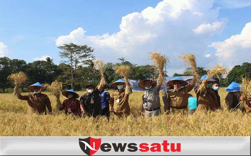 Pemkab OKI Pertahankan Predikat Lumbung Pangan Nasional