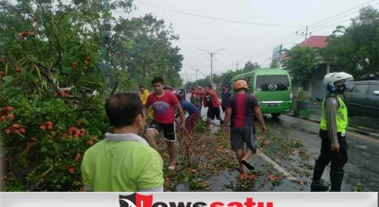Pohon Tumbang, Lumpuhkan 2 Ruas Jalan Nasional Di Pamekasan
