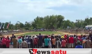 6 Pasang Sapi Tercepat Di Pamekasan Menuju Piala Presiden 2020