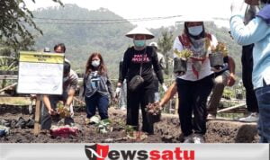 Dukung Program Pemberdayaan Petani, Walikota Batu Ikut Tanam Bibit di Lahan 4 Hektar