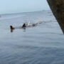 2 Pemuda Di Probolinggo Dikabarkan Tenggelam Di Pantai Gending
