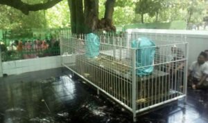 Asta Sayyid Yusuf Sumenep Terus Dipadati Peziarah