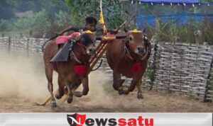 Kerapan Sapi Piala Presiden 2020 Diundur