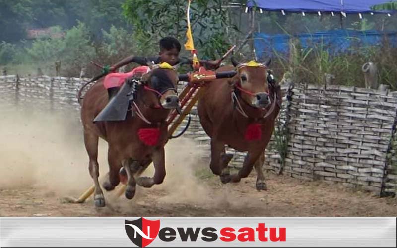 Kerapan Sapi Piala Presiden 2020 Diundur