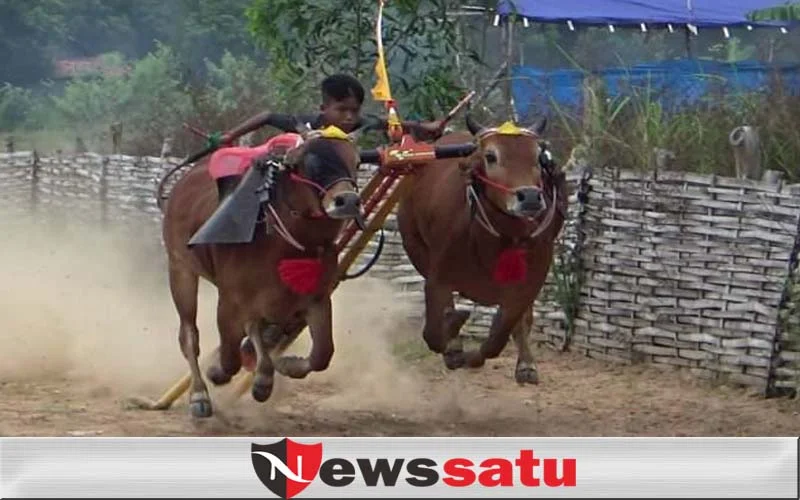 Kerapan Sapi Piala Presiden 2020 Diundur