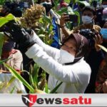 Kota Surabaya Punya Taman Hutan Raya Baru