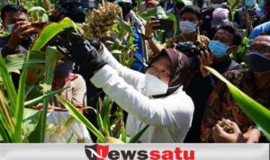 Kota Surabaya Punya Taman Hutan Raya Baru