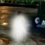 Video Viral, Wanita Bugil Di Alun-alun Probolinggo