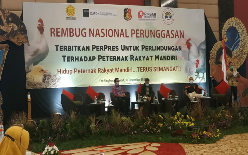 Ribuan Peternak Ayam Potong Bangkrut