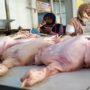 Jelang Natal Dan Tahun Baru, Harga Daging Ayam Merangka Naik