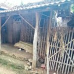 Nenek Sebatang Kara Tak Dapat Bantuan, Dinsos Sumenep Minta Pemdes Bertanggungjawab