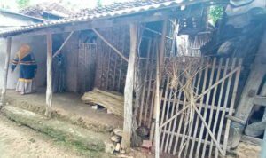 Nenek Sebatang Kara Tak Dapat Bantuan, Dinsos Sumenep Minta Pemdes Bertanggungjawab