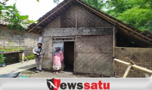 Tak Ada Perhatian Pemerintah, Nenek Di Bondowoso Harus Tinggal Di Gubuk Reyot