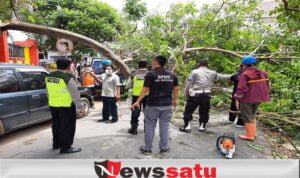 Pohon Tumbang Timpa 2 Mobil dan Tutup Akses Jalan di Pamekasan