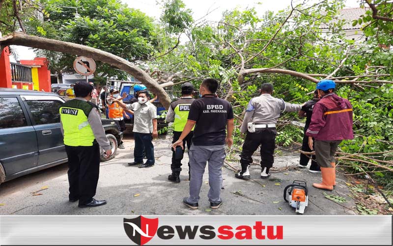 Pohon Tumbang Timpa 2 Mobil dan Tutup Akses Jalan di Pamekasan
