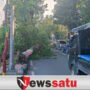 Pohon Tumbag Di Pamekasan