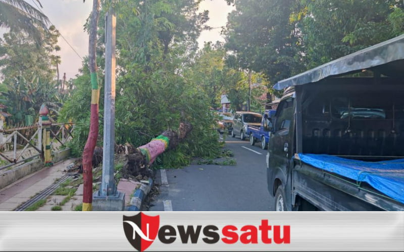 Pohon Tumbag Di Pamekasan