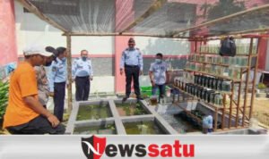 Budidaya Cupang Kontes, Lapas Sustik Kelas IIA Pamekasan Kuatkan Pemberdayaan WBP