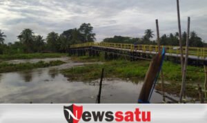 Jembatan Srigeni Ogan Komering Ilir Terputus Akibat Enceng Gondok