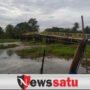 Jembatan Srigeni Ogan Komering Ilir Terputus Akibat Enceng Gondok