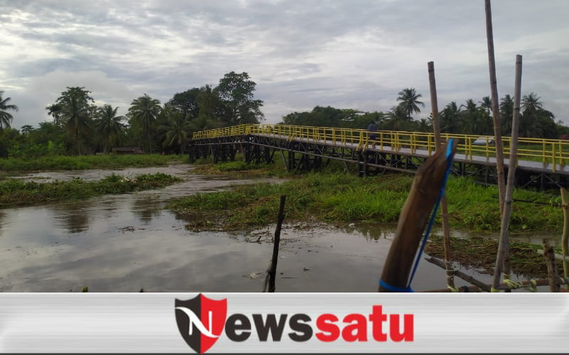Jembatan Srigeni Ogan Komering Ilir Terputus Akibat Enceng Gondok