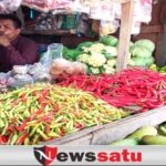 Warga Kota Probolinggo Diresahkan Dengan Beredarnya Cabai Merah Di Cat Tembok