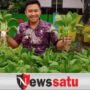 Pemkab Pamekasan Galang Kelurahan Swasembada Sayur