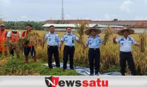 Panen Raya Padi Ala WBP Lapas Kelas IIA Pamekasan