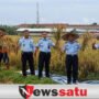 Panen Raya Padi Ala WBP Lapas Kelas IIA Pamekasan