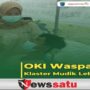 5 Pemudik Di Ogan Komering Ilir Dinyatakan Reaktif