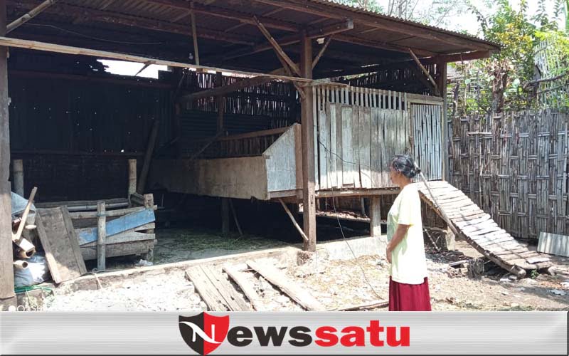 Belasan Ekor Kambing Warga Pilang Kota Probolinggo Dicuri