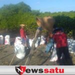Waspada Banjir Rob, Warga Pademawu Pamekasan Swadaya Bangun Tanggul