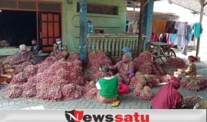 Begini Cara Petani Bawang Di Kota Probolinggo Dalam Memperingati Hari Pancasila