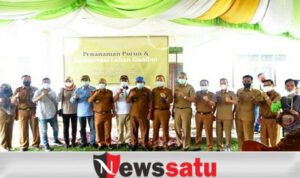 Optimalisasi Lahan Gambut di Purun Desa Pulau Geronggang